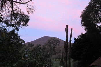 Cherryblossom B&B - Lennox Head Accommodation 35