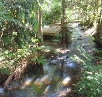 Treetops Accommodation Montville - Lennox Head Accommodation