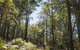 Bawley Bush Retreat And Cottages - thumb 9