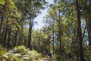 Bawley Bush Retreat And Cottages - Lennox Head Accommodation 9