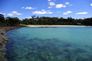 Bawley Bush Retreat And Cottages - Lennox Head Accommodation 36