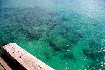 Bawley Bush Retreat And Cottages - Lennox Head Accommodation 39