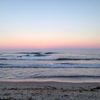 Bawley Bush Retreat And Cottages - Lennox Head Accommodation 40