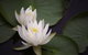 Bawley Bush Retreat And Cottages - thumb 47