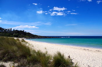 Bawley Bush Retreat And Cottages - Lennox Head Accommodation 58