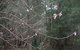Bawley Bush Retreat And Cottages - thumb 82