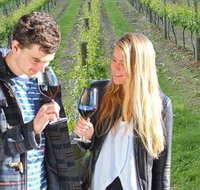 Valley Farm Vineyard Cottages - Lennox Head Accommodation