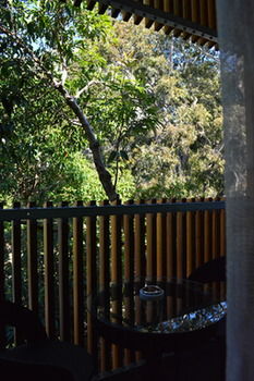 Melrose Apartments - Lennox Head Accommodation 8