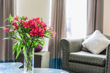 Anchor On Flinders Prime - Lennox Head Accommodation 20