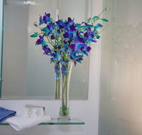 Grand Hotel Wyong - Lennox Head Accommodation