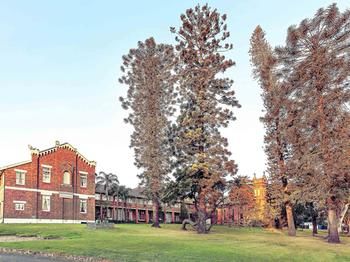 Mercure Maitland Monte Pio - Lennox Head Accommodation 52