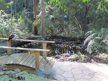 Myers Creek Cascades Luxury Cottages - Lennox Head Accommodation 2