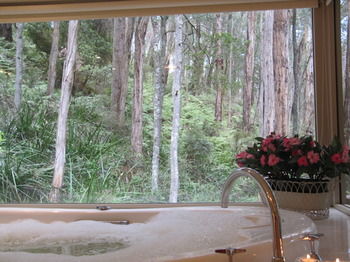 Myers Creek Cascades Luxury Cottages - Lennox Head Accommodation 10