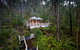 Myers Creek Cascades Luxury Cottages - thumb 16