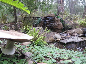 Myers Creek Cascades Luxury Cottages - Lennox Head Accommodation 23