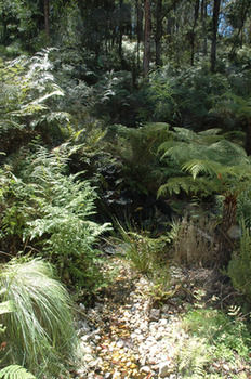 Myers Creek Cascades Luxury Cottages - Lennox Head Accommodation 41