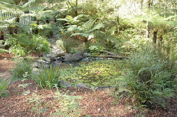 Myers Creek Cascades Luxury Cottages - Lennox Head Accommodation 42