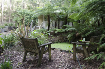 Myers Creek Cascades Luxury Cottages - Lennox Head Accommodation 43