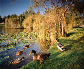 Country Club Tasmania - Lennox Head Accommodation 5