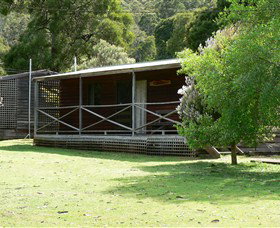 Wing's Wildlife Park (Accommodation) - Lennox Head Accommodation 3