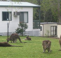 Halls Gap Caravan Park - Lennox Head Accommodation