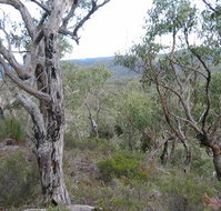 The Glen - Lennox Head Accommodation