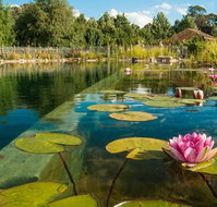 Planetrees Estate  - Lennox Head Accommodation