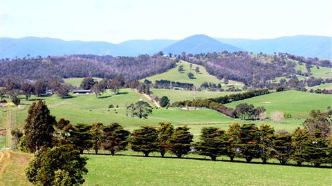 The Barn At Charlottes Hill - Lennox Head Accommodation 7