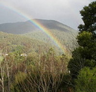 Wattletree Cottage - Lennox Head Accommodation