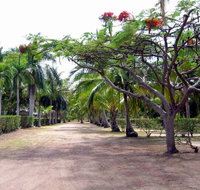 Alva Beach Tourist Park - Lennox Head Accommodation