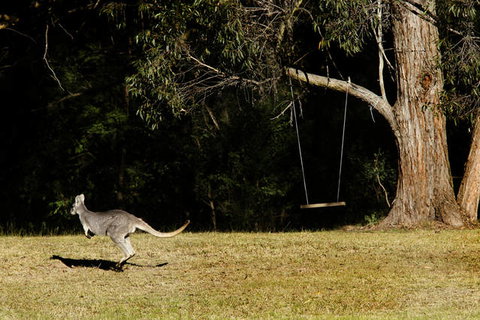 Cottages On Mount View - Lennox Head Accommodation 1