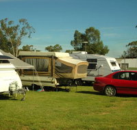 Crocodile Caravan   Camping Park - Lennox Head Accommodation