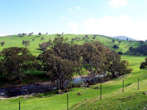 Elm Cottage - Tumut - Lennox Head Accommodation 4