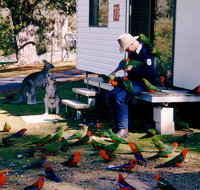 Inland Waters Holiday Parks Burrinjuck - Lennox Head Accommodation