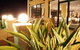 Kangaroo Island Seafront - thumb 4