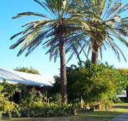 Merino Motor Inn - Lennox Head Accommodation