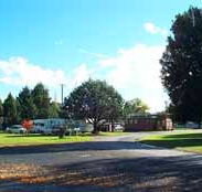 Molong Caravan Park - Lennox Head Accommodation