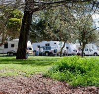 Moss Vale Village Caravan Park - Lennox Head Accommodation