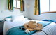North Coast Holiday Parks Coffs Harbour - thumb 4