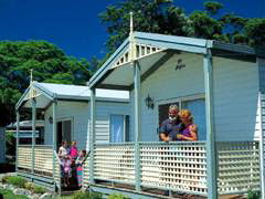 Paradise Palms Carey Bay - Lennox Head Accommodation 1