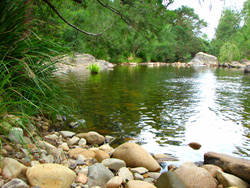 Riverwood Downs Mountain Valley Resort - Lennox Head Accommodation 7