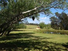 The Knoll Moruya - Lennox Head Accommodation 4