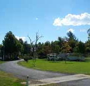 Wairo Beach Tourist Park - Lennox Head Accommodation