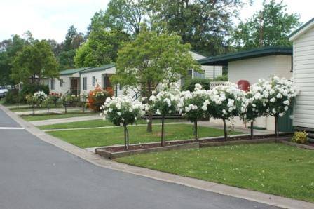 Wodonga Caravan & Cabin Park - Lennox Head Accommodation 0