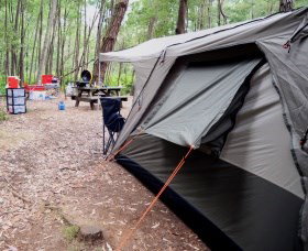WA Wilderness Catered Camping At Big Brook Arboretum - Lennox Head Accommodation 0