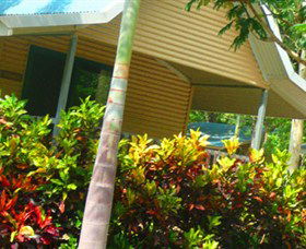 Litchfield Tourist Park - Lennox Head Accommodation 4