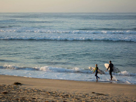 Wairo Beach Tourist Park - Lennox Head Accommodation 2