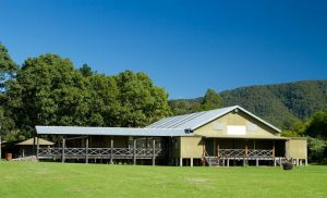 Riverwood Downs Mountain Valley Resort - Lennox Head Accommodation 11