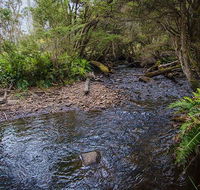 Horse Swamp campground - Lennox Head Accommodation