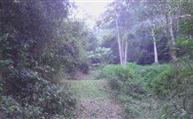 Macas Camping Ground - Lennox Head Accommodation 0